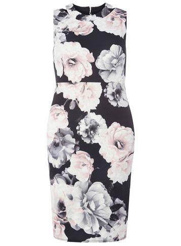 Dorothy Perkins Petite Rose Print Scuba Dress