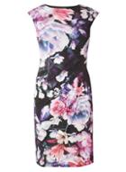 Dorothy Perkins *billie & Blossom Black Floral Print Manipulated Dress