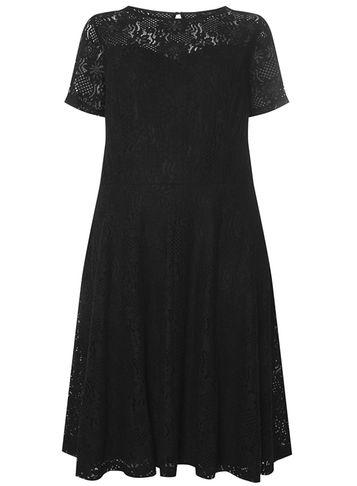 Dorothy Perkins Dp Curve Black Adele Lace Fit And Flare Dress