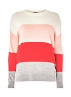 Dorothy Perkins Multi Colour Soft Block Striped Jumper
