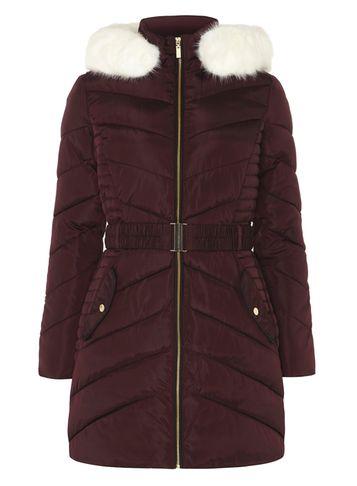 Dorothy Perkins Aubergine Longline Belt Jacket