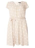 Dorothy Perkins *billie & Blossom Curve Taupe Spot Dress