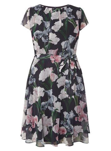 Dorothy Perkins *billie & Blossom Curve Black Floral Fit And Flare Dress
