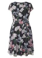 Dorothy Perkins *billie & Blossom Curve Black Floral Fit And Flare Dress