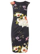 Dorothy Perkins *billie & Blossom Navy Bloom Print Bodycon Dress