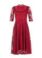 Dorothy Perkins *feverfish Burgundy Fit And Flared Lace Dress