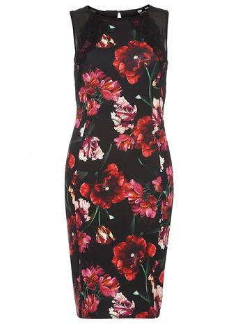 Dorothy Perkins Black Floral Lace Pencil Dress