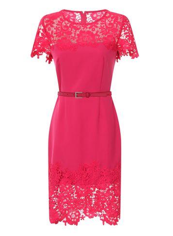 Dorothy Perkins *paper Dolls Magenta Lace Panel Bodycon Dress