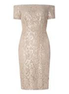 Dorothy Perkins Sequin Lace Pencil Dress