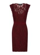 Dorothy Perkins *little Mistress Maroon Lace Bodycon Dress