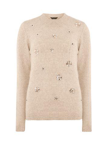 Dorothy Perkins Mink Flower Embellished Jumper