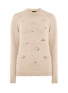 Dorothy Perkins Mink Flower Embellished Jumper