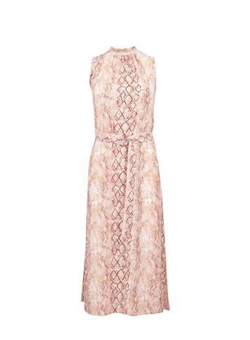 Dorothy Perkins Multi Colour Snake Print High Neck Midi Skater Dress