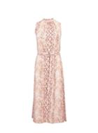 Dorothy Perkins Multi Colour Snake Print High Neck Midi Skater Dress