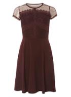 Dorothy Perkins Aubergine Lace And Mesh Skater Dress