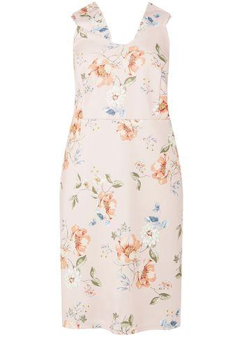 Dorothy Perkins *dp Curve Blush Floral Scuba Bardot Pencil Dress