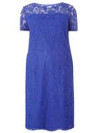 Dorothy Perkins Dp Curve Cobalt Lace Pencil Dress