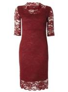 Dorothy Perkins *fever Fish Burgundy Lace Scallop Dress