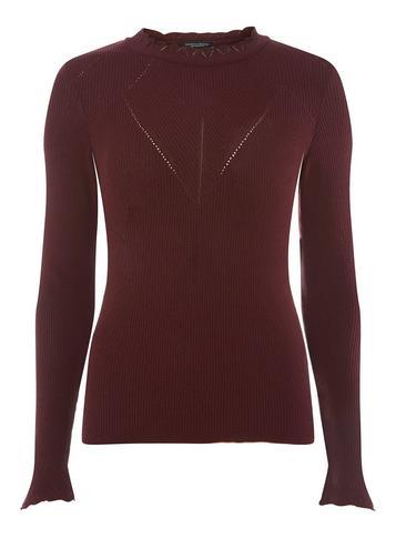 Dorothy Perkins Burgundy Fluted Frill Neck Jumper