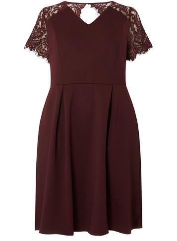 Dorothy Perkins *dp Curve Burgundy Lace Skater Dress