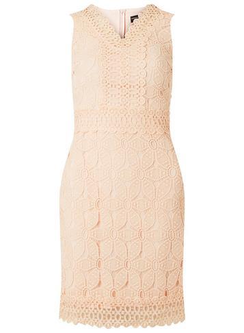 Dorothy Perkins Blush Geometric Lace Pencil Dress