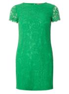 Dorothy Perkins Petite Green Lace Shift Dress