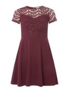 Dorothy Perkins Petite Sequin Lace Fit And Flare Dress