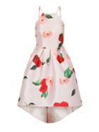 Dorothy Perkins *chi Chi London Pink Digital Floral Print Skater Dress