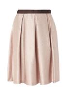 Dorothy Perkins Blush Metallic Full Skirt