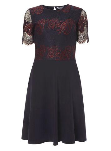 Dorothy Perkins Tall Navy And Berry 2 Tone Lace Skater Dress