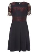 Dorothy Perkins Tall Navy And Berry 2 Tone Lace Skater Dress