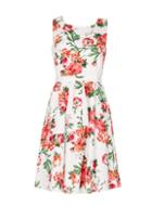 *izabel London Pink Floral Skater Dress