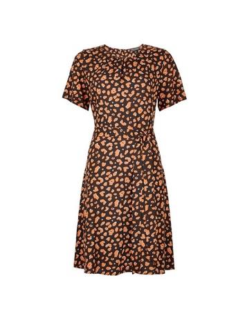 Dorothy Perkins Multi Colour Animal Print Short Sleeve Pleat Neck Fit And Flare Dress