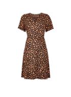 Dorothy Perkins Multi Colour Animal Print Short Sleeve Pleat Neck Fit And Flare Dress