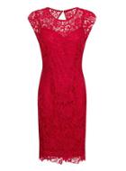 Dorothy Perkins Berry Lace Dress