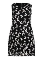 Dorothy Perkins *izabel London Curve Black Butterfly Shift Dress