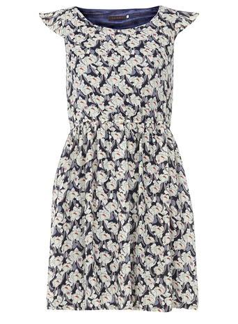 Dorothy Perkins *tenki Blue Flower Print Dress