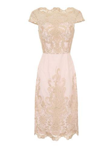 Dorothy Perkins *chi Chi London Blush Embroidered Bodycon Dress