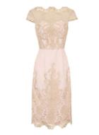 Dorothy Perkins *chi Chi London Blush Embroidered Bodycon Dress
