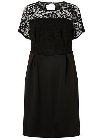 Dorothy Perkins *dp Curve Black Lace Scuba Fit And Flare Dress