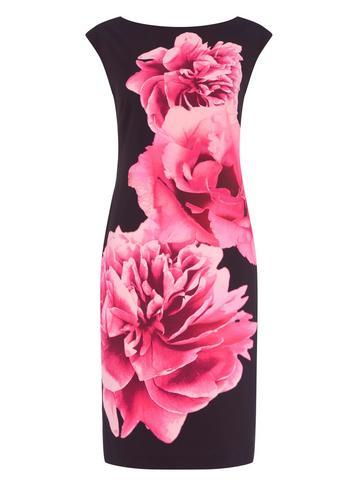 Dorothy Perkins *roman Originals Cerise Floral Print Scuba Shift Dress