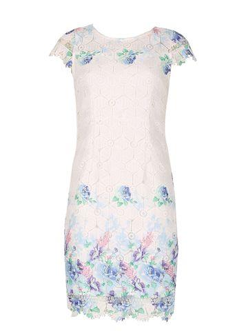 Dorothy Perkins *izabel London White Printed Shift Dress