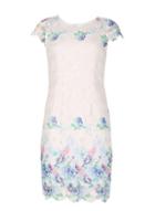 Dorothy Perkins *izabel London White Printed Shift Dress