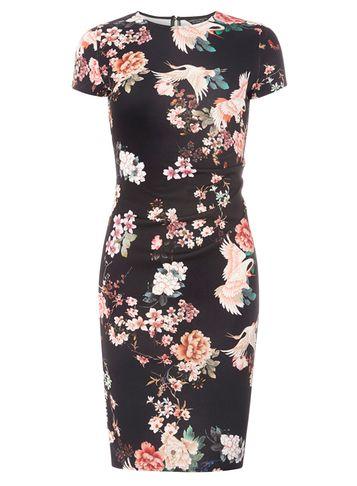 Dorothy Perkins Black Floral Print Ruched Bodycon Dress