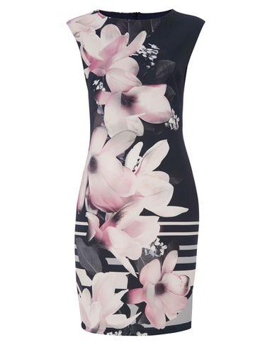 Dorothy Perkins *roman Originals Navy Floral Scuba Bodycon Dress