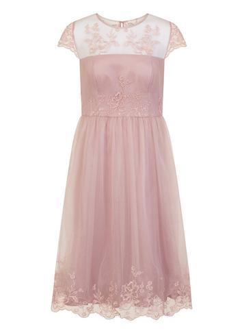Dorothy Perkins *chi Chi London Curve Mink Embroidered Midi Skater Dress