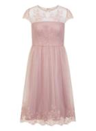Dorothy Perkins *chi Chi London Curve Mink Embroidered Midi Skater Dress