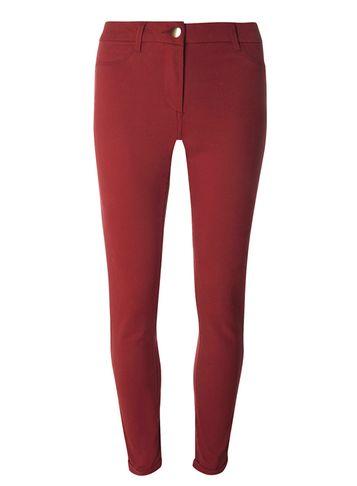 Dorothy Perkins Burgundy Sateen Chino Trousers