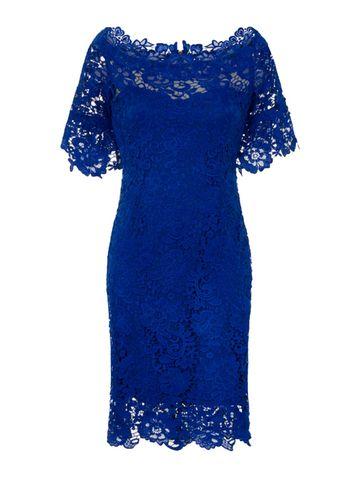 Dorothy Perkins *paper Dolls Cobalt Lace Bardot Dress