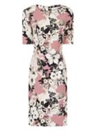 Dorothy Perkins *paper Dolls Rose And Lily Print Dress